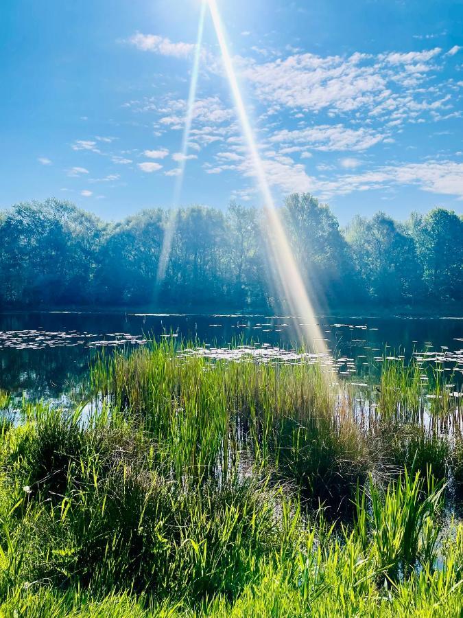 Freya Blue Ferienhaus Weener Kültér fotó